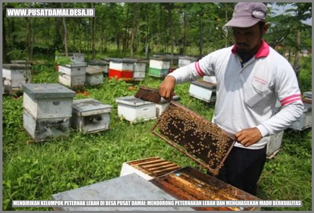 Peternakan Lebah di Desa Pusat Damai