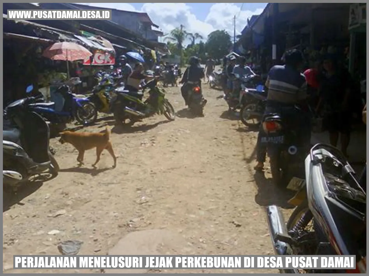 Gambar Perjalanan Menelusuri Jejak Perkebunan di Desa Pusat Damai
